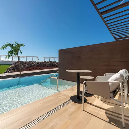 酒店 Barcelo Royal Level - Adults Only 普拉亚布兰卡